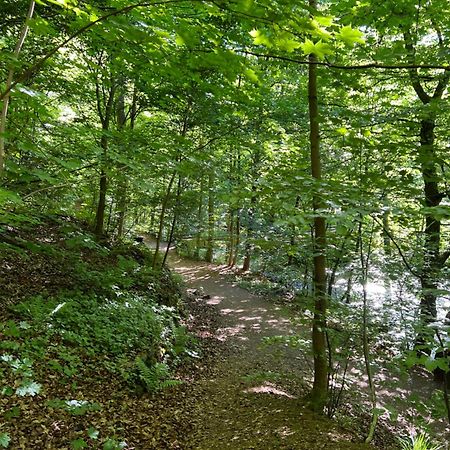 Pension Villa Pangea Bad Lauterberg Zewnętrze zdjęcie
