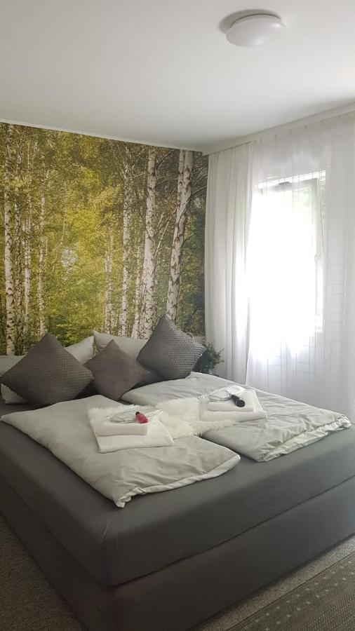 Pension Villa Pangea Bad Lauterberg Zewnętrze zdjęcie