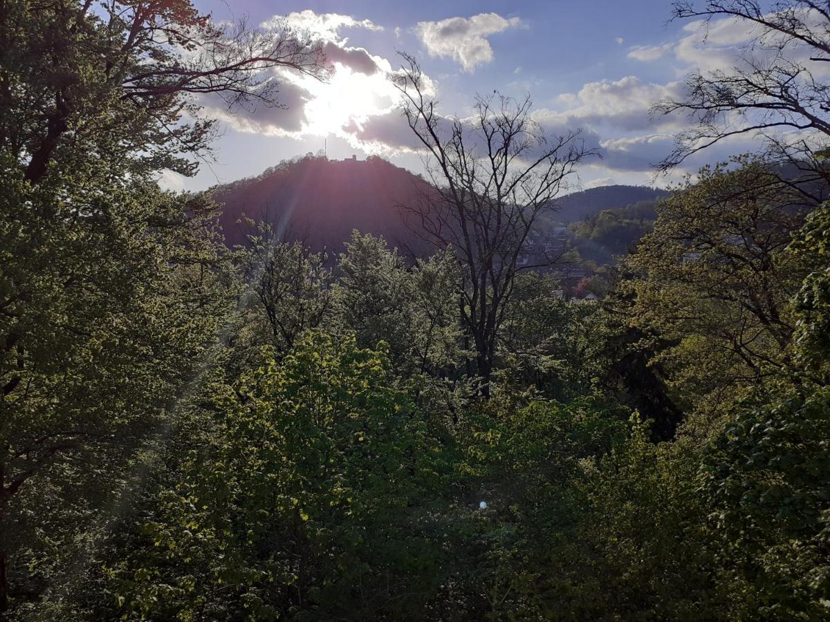 Pension Villa Pangea Bad Lauterberg Zewnętrze zdjęcie