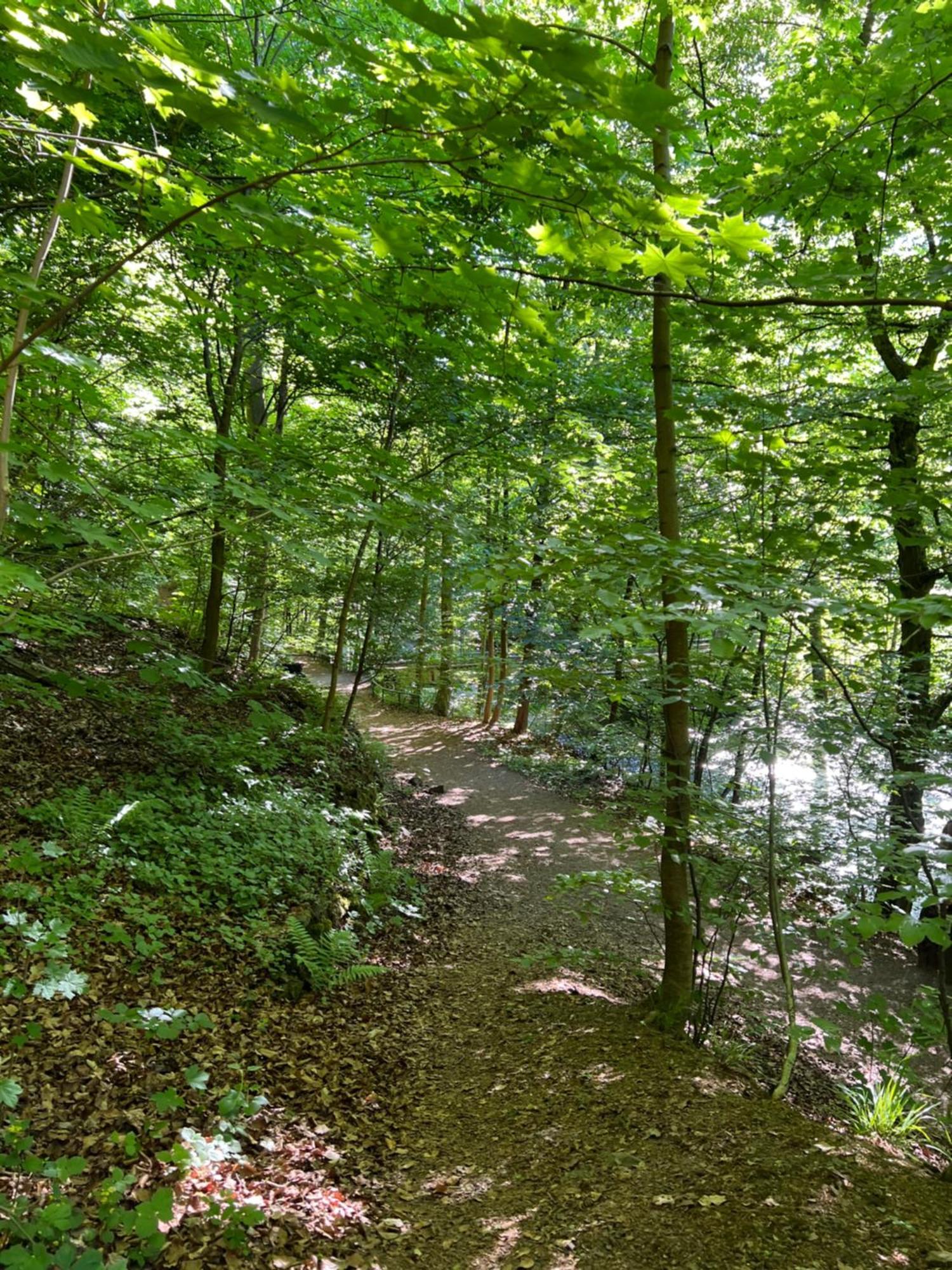 Pension Villa Pangea Bad Lauterberg Zewnętrze zdjęcie