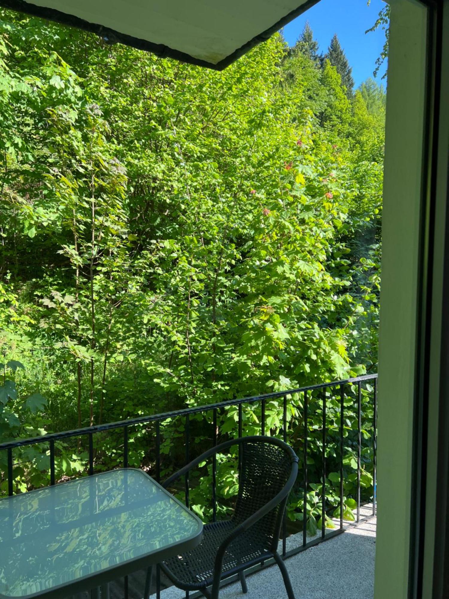 Pension Villa Pangea Bad Lauterberg Zewnętrze zdjęcie