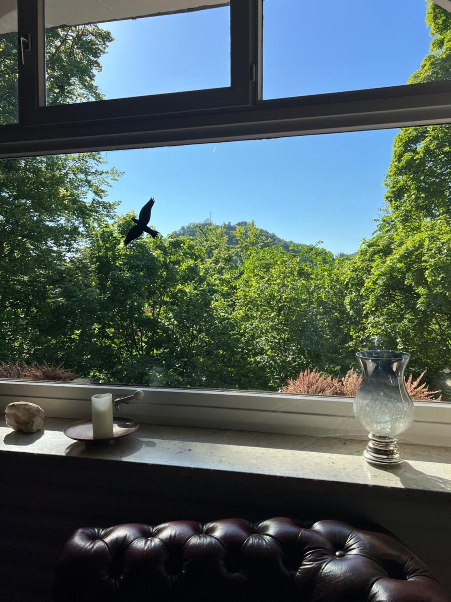 Pension Villa Pangea Bad Lauterberg Zewnętrze zdjęcie