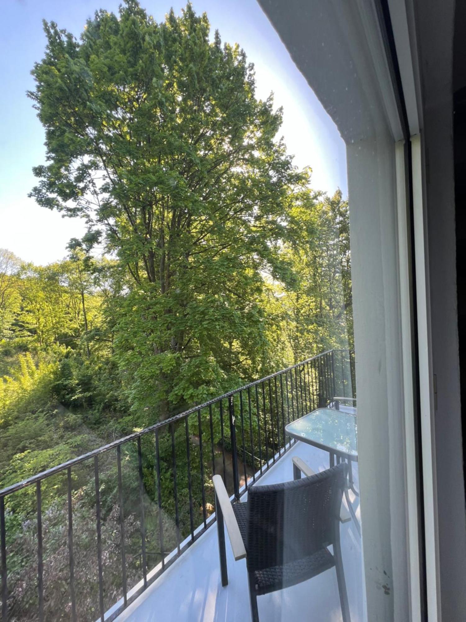Pension Villa Pangea Bad Lauterberg Zewnętrze zdjęcie