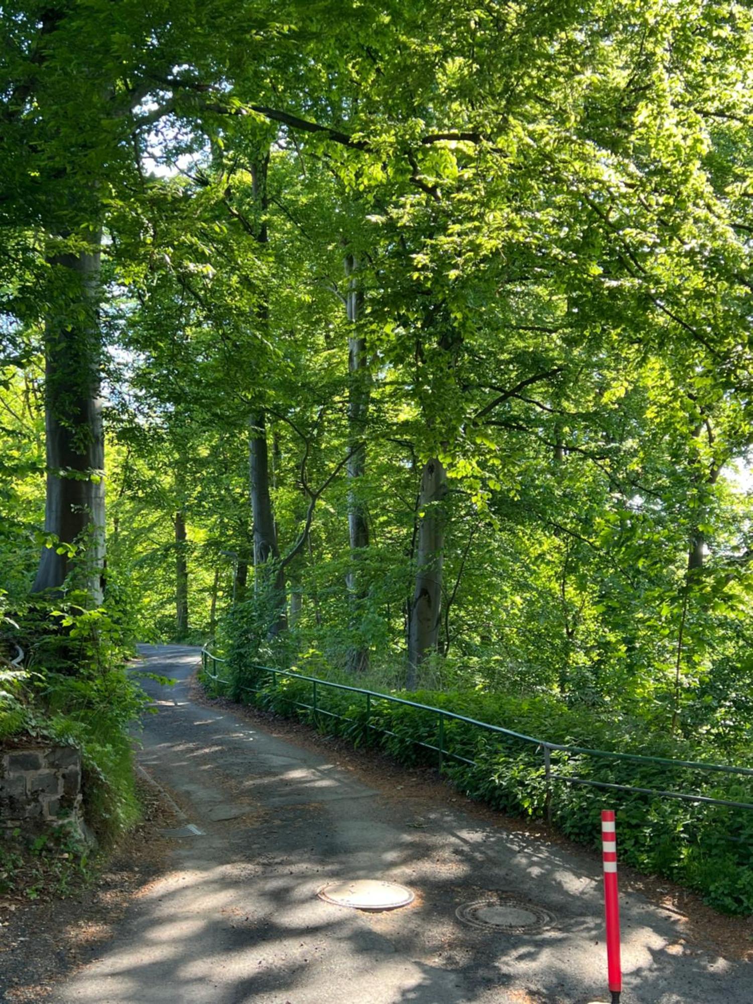 Pension Villa Pangea Bad Lauterberg Zewnętrze zdjęcie