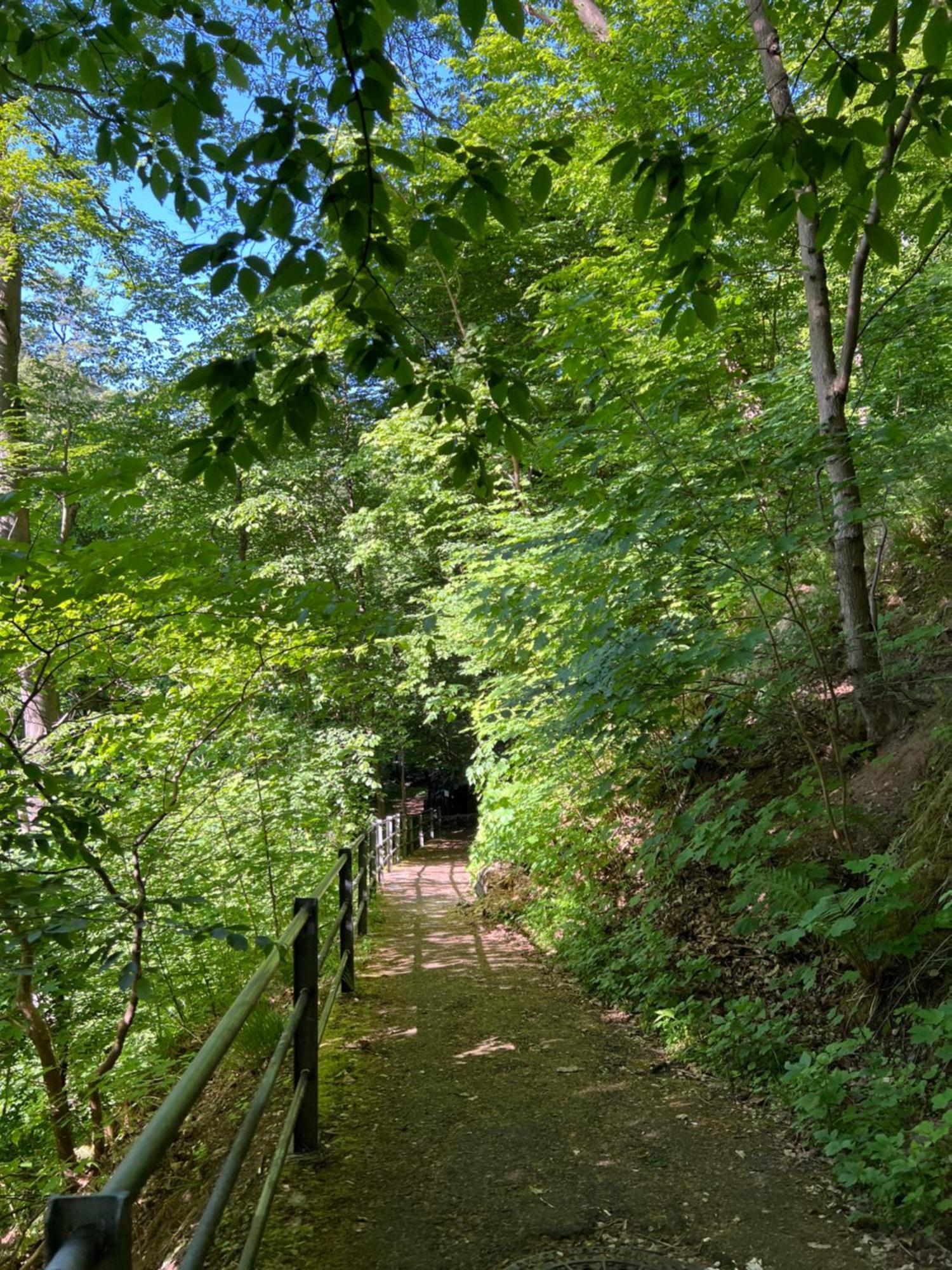 Pension Villa Pangea Bad Lauterberg Zewnętrze zdjęcie