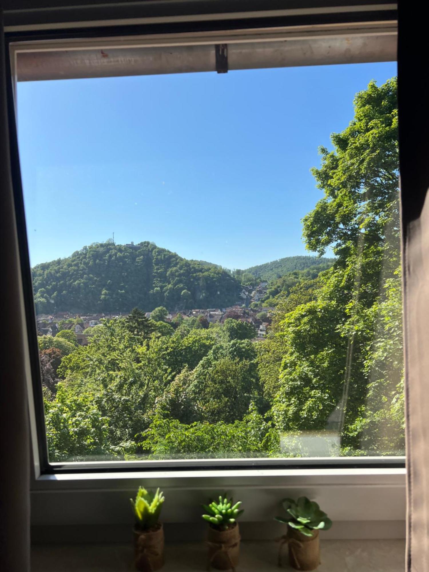 Pension Villa Pangea Bad Lauterberg Zewnętrze zdjęcie